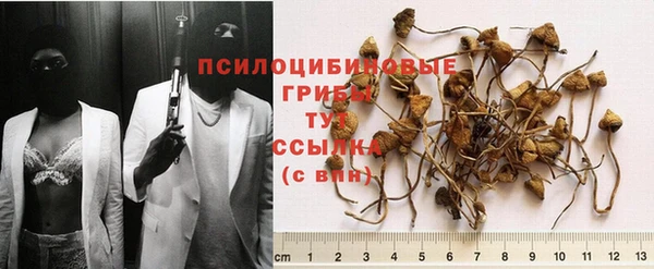 скорость Липки