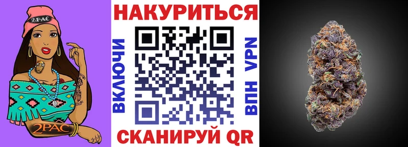 Каннабис конопля  Павловская 